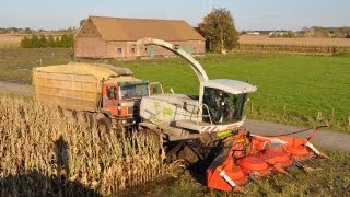 Mais hakselen 2010  Loonbedrijf Neyt  Claas Jaguar 20000 part two [upl. by Solegnave251]