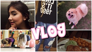 VLOG  Academia shopping e jantar fitness  Luiza Villeroy [upl. by Tolley]