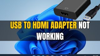 How To Fix USB to HDMI Adapter Not Working in Windows 11 [upl. by Lea]