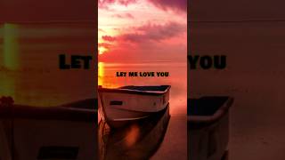 Justin Bieber ft DJ Snake  Let Me Love You  Lyrics  Never let you go [upl. by Mellette]