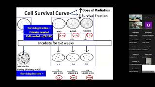 Cell Survival Curve [upl. by Ebeohp]