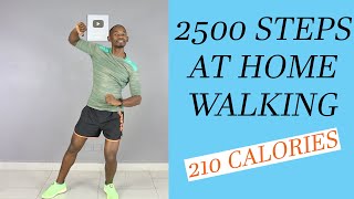 2500 Steps at Home 20 Minute Fast Walk at Home Workout 🔥 210 Calories 🔥 [upl. by Zarla]