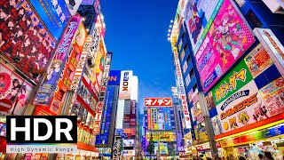 Night Walk in Tokyo Electric Anime City  Akihabara Walking Tour  4K HDR [upl. by Gillian779]