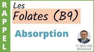 02 ABSORPTION DES FOLATES VITAMINE B9 [upl. by Nelyk]