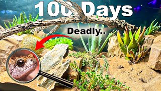 150 Gallon Desert ecosystem Simulation  With Natural Disasters [upl. by Jamaal39]