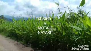 CORRIDO DE NAYARITbanda kora [upl. by Brebner410]