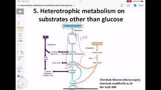 Microbial Physiology Heterotrophic metabolism [upl. by Earej48]