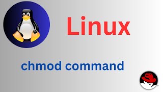 2550 Basic Linux Commands  chmod command Explained shortsvideo linux linuxtutorial [upl. by Etteuqal]