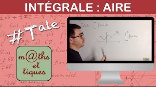 Déterminer une intégrale par calculs daire 1  Terminale [upl. by Norted661]