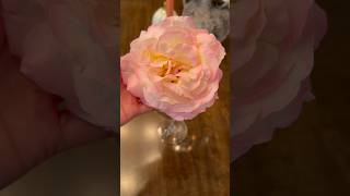 How to preserve a rose youtubeshorts shorts shortvideo [upl. by Suoivatra]