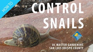 How to Control Snails [upl. by Selim]