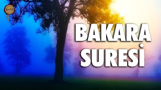 Bakara Suresi  Evdeki Geçimsizliğe Huzursuzluğa Sıkıntılarınıza Şifa  Eyad Mohra [upl. by Jayne]