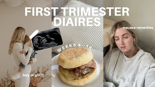 FIRST TRIMESTER VLOG  early pregnancy symptoms gender reveal and nausea remedies 4  14 weeks [upl. by Annaxor]