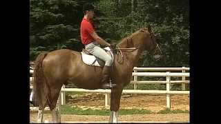 Equitation  Galop 1amp2  Cheval [upl. by Idram]