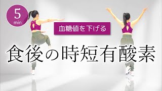 【食後の時短有酸素】食事の後は運動しよう！健康な血糖値をキープする室内運動 365 [upl. by Alamap237]