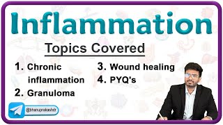 Chronic Inflammation  Wound Healing amp Granuloma  Pathology Lecture 4 [upl. by Ariet]