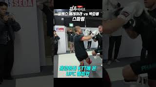 샤마 UFC 알렉스 페레이라 vs 박준용 정다운 스파링 영상 격투라이프 [upl. by Bondie867]