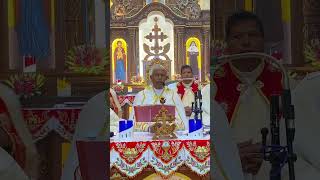 CCI Members Visit to the Tomb of St Alphonsa  Holy Qurbana  St Alphponsa Shrine Bharananganam [upl. by Rawna663]