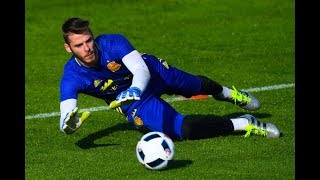 Goalkeeper Reaction Drills and Training Dynamic Movement Speed Strength Agility and Power [upl. by Ahsir]