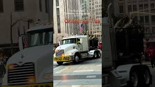 The Rockefeller Christmas Tree arrived in NYCChristmas treerockafellercenter [upl. by Samalla]