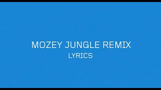 Kosheen  Hide U Mozey Jungle Remix Official Lyric Video 2024 Reload Pt1 [upl. by Rednasxela38]