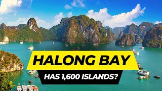 Top 10 Things to do in Halong Bay 2024  Vietnam Travel Guide [upl. by Sedgewinn99]