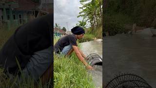 Sangkar Kramat ini pembawa berkah manuk gemling langsung gacor ebiwirawan [upl. by Danny]