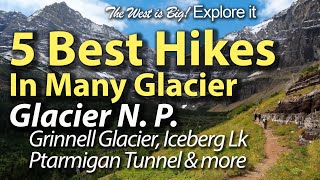 5 Best Hikes in Many Glacier In Glacier Nat Park Grinnell Glacier Iceberg Ptarmigan Tunnel More [upl. by Quintin]