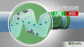 RIVULIS Hydrogol Flushing [upl. by Lindbom]