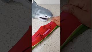 Shark 🤯😵‍💫😵 toys funny satisfying squishy Shark [upl. by Warram667]