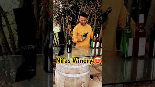 wínє cítч nαѕhík❤️wine nashik youtubeshorts viralvideo foryou winery india subscribe shorts [upl. by Oeram63]