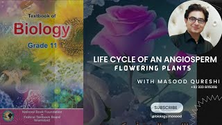 Life Cycle of an Angiosperm  Grade 11  biology  Urdu Hindi English  Federal Board Pakistan [upl. by Hollander]