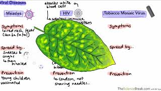 Communicable Diseases for AQA 91 GCSE Biology and Trilogy Combined Science [upl. by Estas]