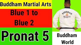 Pronat 5  Blue 1 To Blue 2 Belt Promotion  Buddham Martial Arts [upl. by Brynne]