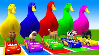 5 Giant Duck CartoonCowElephantGiraffeTigerLion Paint Wild Animals Crossing Fountain Animation [upl. by Muncey43]