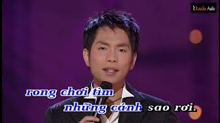 Biết Bao Giờ Trở Lại  Trần Thái Hòa KARAOKE [upl. by Wellington]