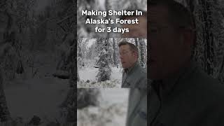 Building a Survival Shelter For 3 Days in Alaskas Forest [upl. by Ailis]