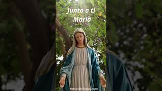 Junto a ti María VirgenMaría cantosalaVirgen músicacatolica [upl. by Ahsinat]