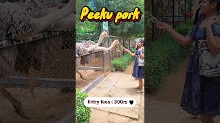 Peeku Park in Yercaud Best and Affordable Petting Spot salem dogs birds yercaud travel [upl. by Elorak912]