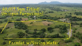 Magandang Farmlot na may bukal sa Umingan Pangasinan 6 hectares 8million LangAerial View vlog 613 [upl. by Frazer]