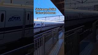 Shinkansen Bullet Trains at Odawara Station 🚅 shinkansen japanrail highspeedtrain japan jrwest [upl. by Serge]