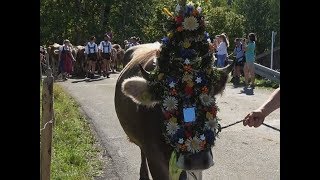 Viehscheid Oberstdorf Schöllang 2018 [upl. by Nitaf]