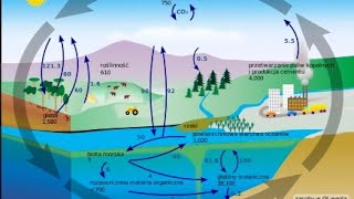 OBIEG WĘGLA W PRZYRODZIE [upl. by Primo]