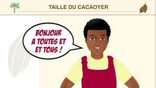 LA TAILLE DU CACAOYER [upl. by Yle959]