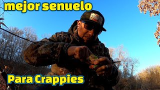 Pesca De Crappie en Maryland [upl. by Ettenej]