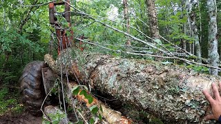 240D Timberjack Cable Skidder First Day on The New Cut What Could Go Wrong Detroit 453 5 Speed [upl. by Kordula820]