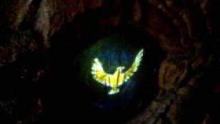 Disneyland DCA Brother Bear Kenai Spirit Cave CLIP 042706 [upl. by Saihttam233]