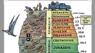 Part 4 Stratigraphy Biostratigraphy and Chronostratigraphy Geology Stratigraphy OnlineCourses [upl. by Arriet210]