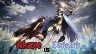 Akame vs Esdeath [upl. by Aicitel]