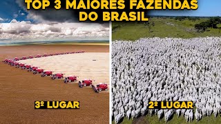 TOP 3 MAIORES FAZENDAS DO BRASIL ATUALIZADO  FAZENDAS GIGANTES [upl. by Ruff]